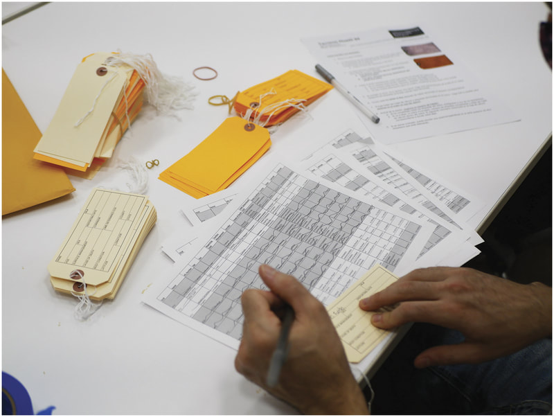 a person filling out 'toe tags' with names of information from spreadsheets about people whose remains were found in the United States having tried to cross the Mexico-US border.